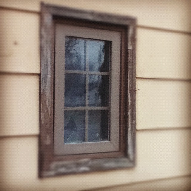I like to think we're all a little like this window, rough around the edges, reflecting out to the world all that we see.