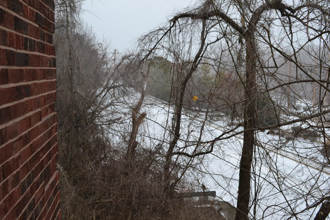 View of S. Main St. in St. Charles, MO.
