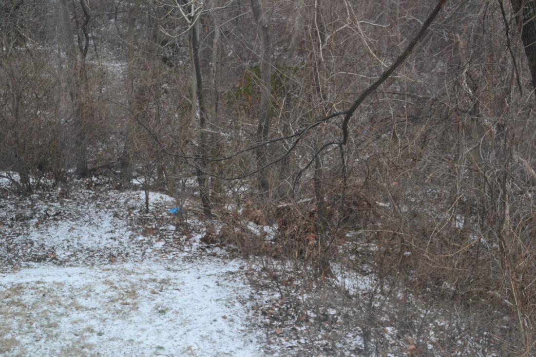 A bit of accumulation on the ground below my apartment.