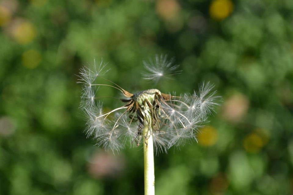 Gratitude helps us focus on what we have rather than what we've lost. 