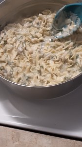 leftover turkey and noodles