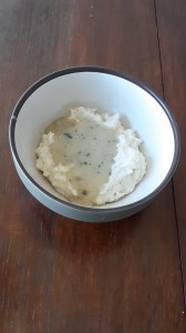 mashed potatoes and gravy